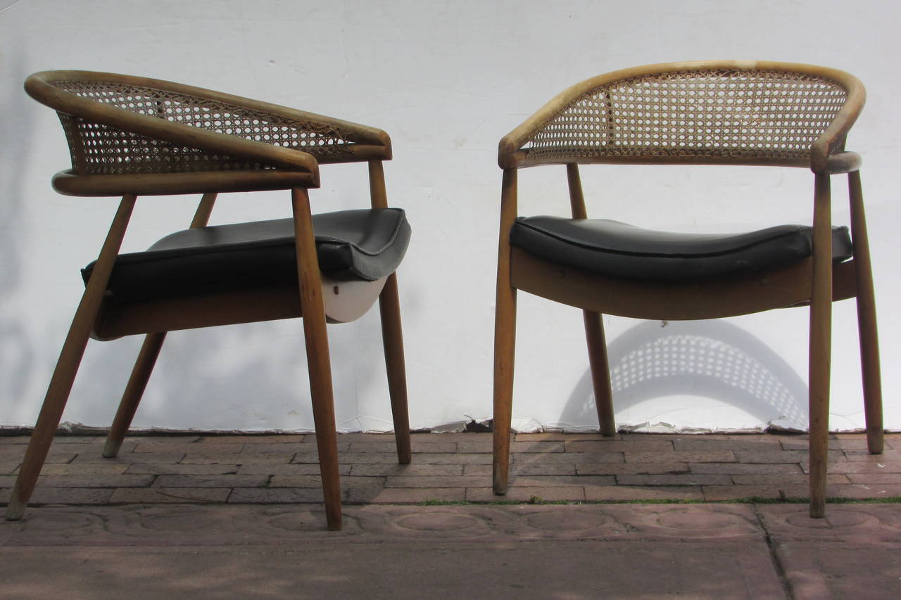 A pair of mid 20th century beechwood lounge chairs with cane inset rounded backs and beautifully angled tapered legs in the original as found aged worn natural finish and period upholstered black faux leather seats. This same chair design was used