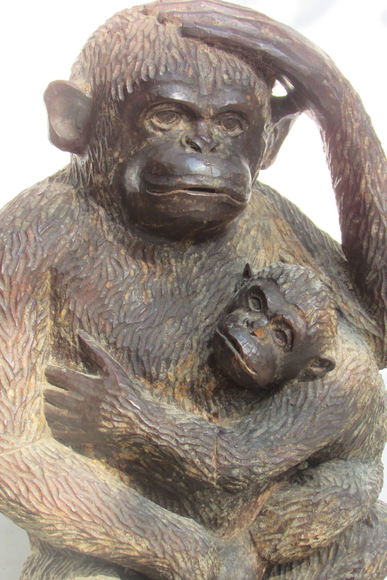 A large scale hand carved wooden adult monkey cradling a young monkey. Beautiful aged old patina and color to dense heavy wood - direct from the private collection of retired decorator working out of San Francisco during the 1960s - 1970s.