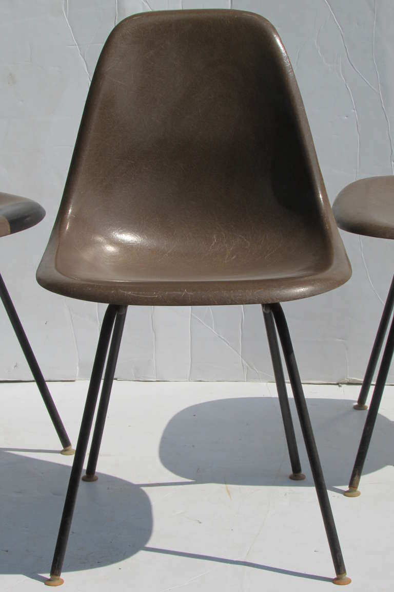 Eames fauteuils en fibre de verre marron « Seal » des débuts