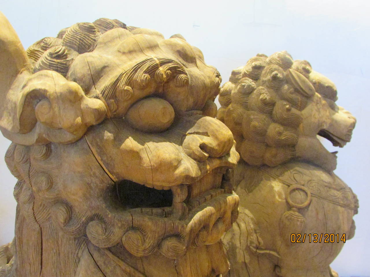 An massive heavy pair of finely hand carved wooden foo dogs / temple dogs  in beautifully aged surface with a very pale bleach white washed like color. Direct from the estate collection of an interior designer who worked out of San Francisco,