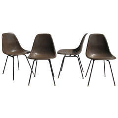 Early Eames Seal Brown Fiberglass Chairs