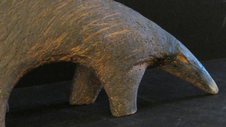 borzoi anteater