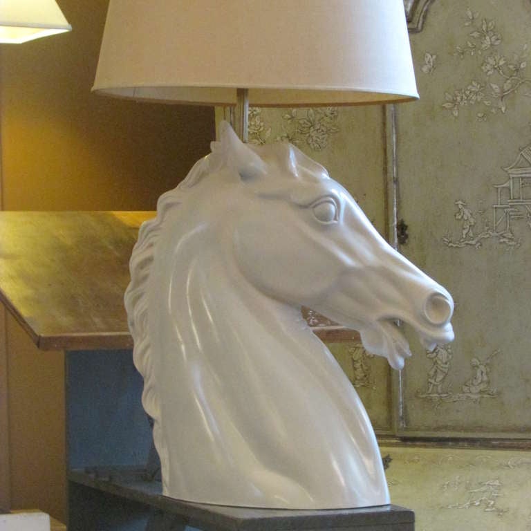 horse with lamp on head