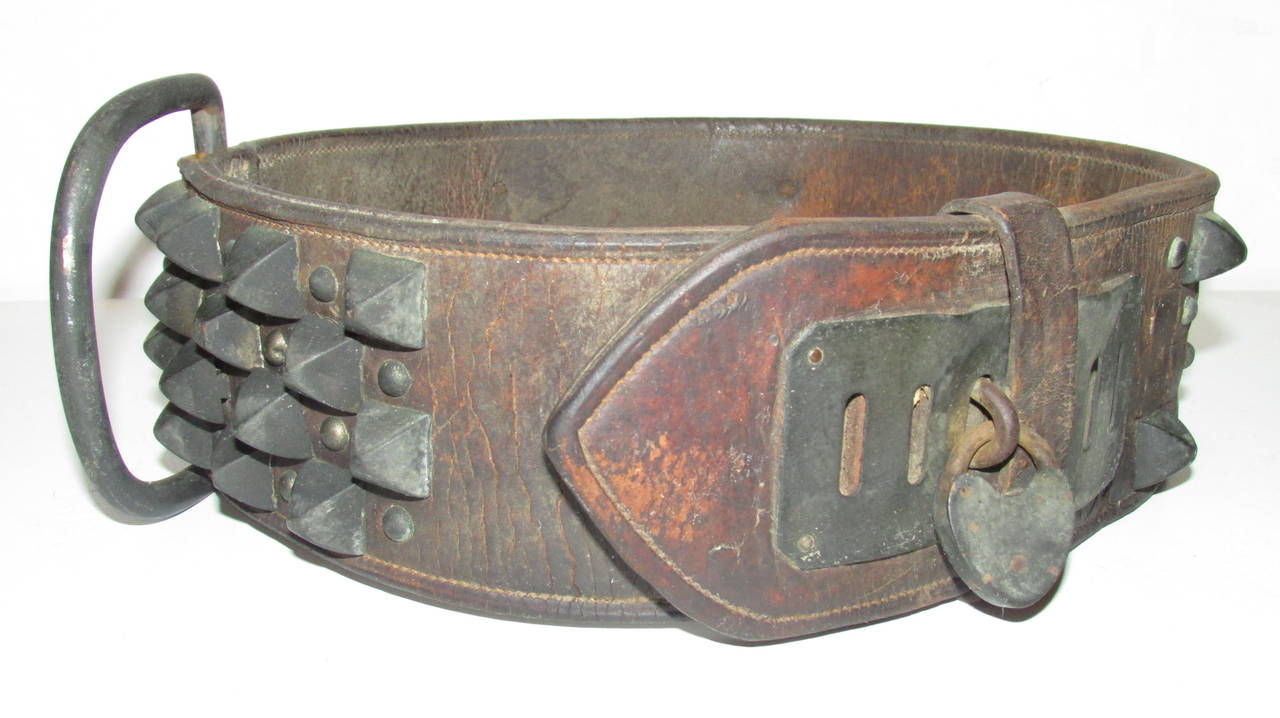 vintage dog collars