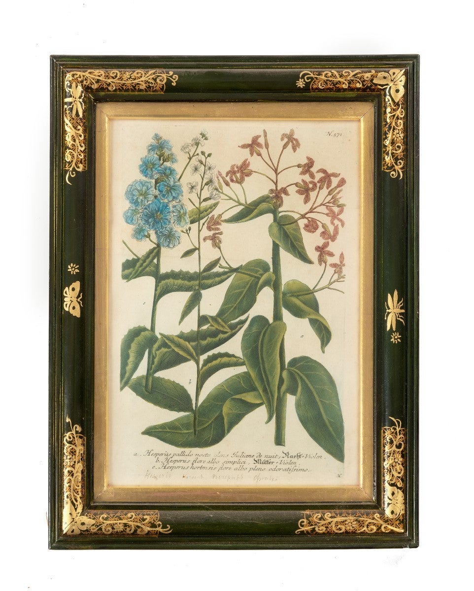 Collectionof 12 botanical prints In Good Condition For Sale In Edenbridge, Kent