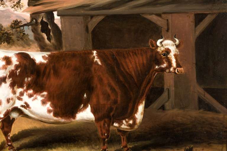 oil painting cow
