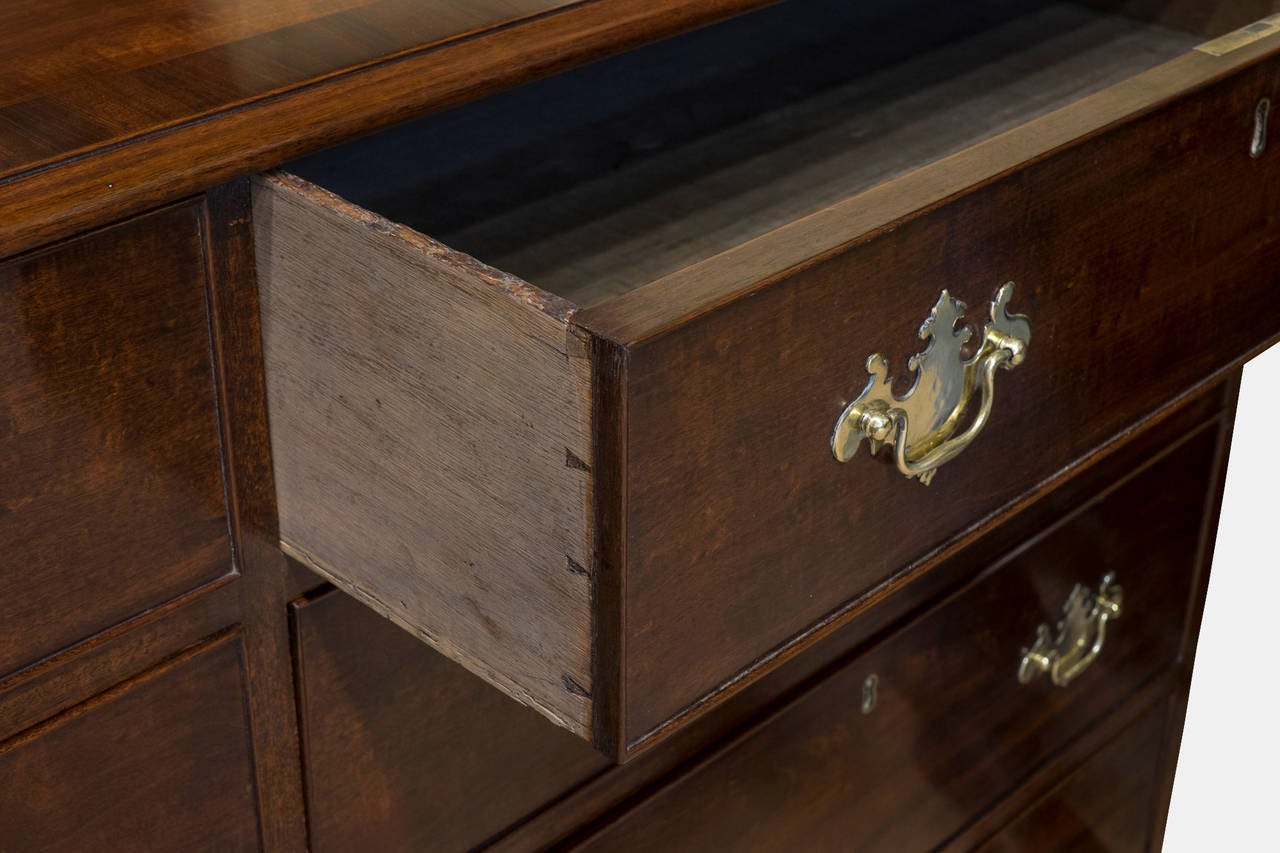 Georgian Mahogany Chest of Eight Drawers For Sale 1