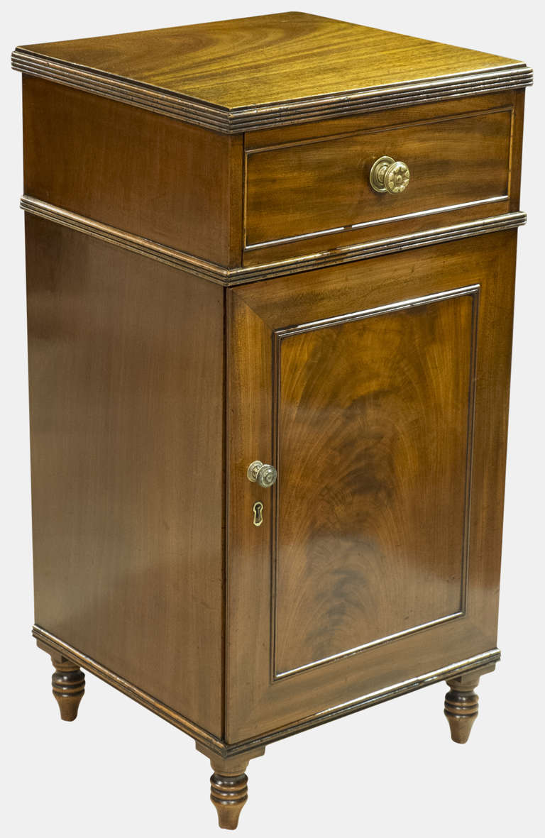 Regency Pair of Cuban Bedside Chests