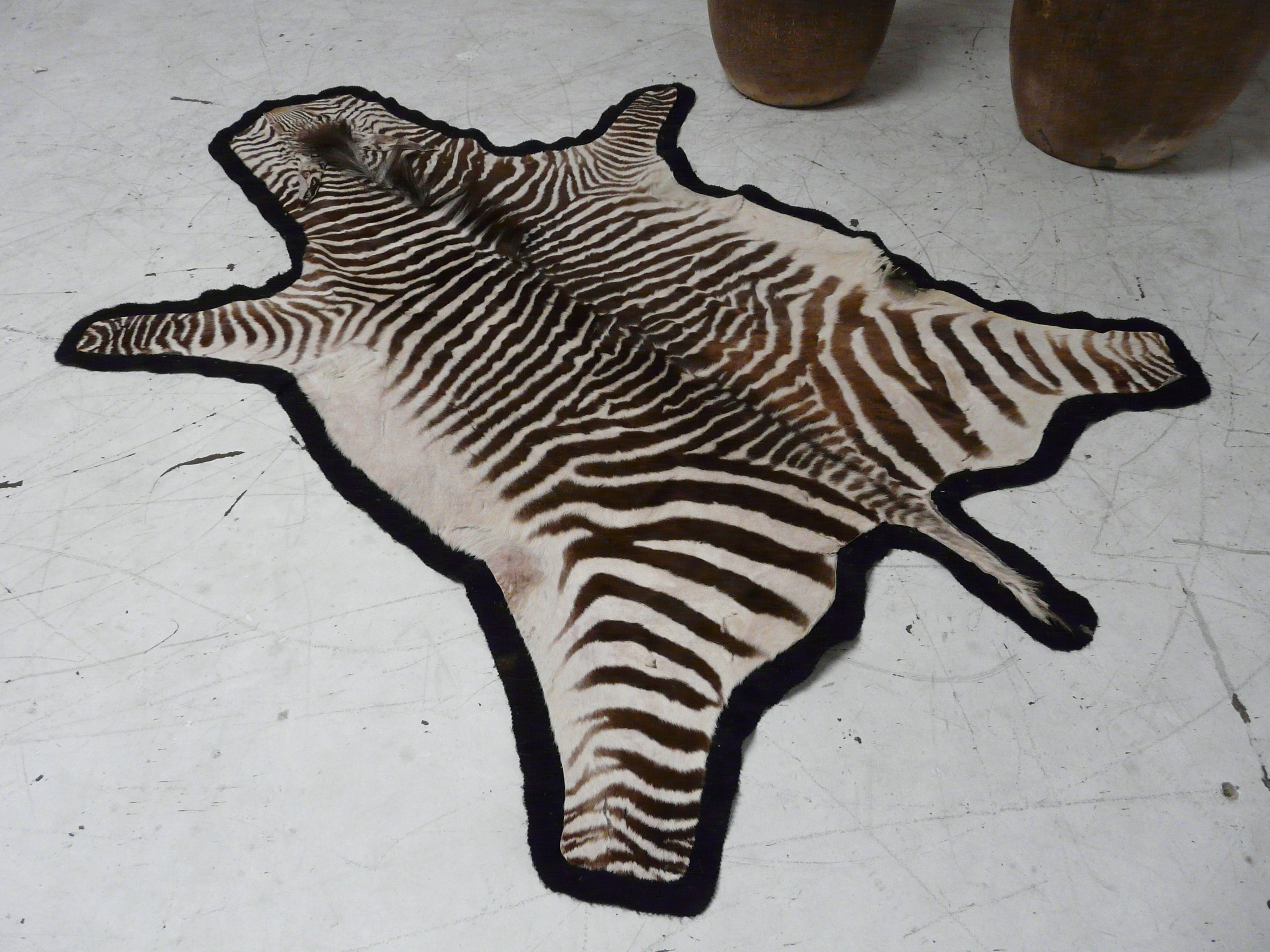 Antique 1920's Zebra Skin Trophy Rug or Wall Hanging For Sale