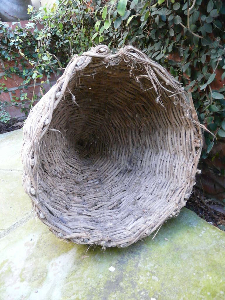 French Exceptional Huge Antique Bee Skep Hive Provence France For Sale