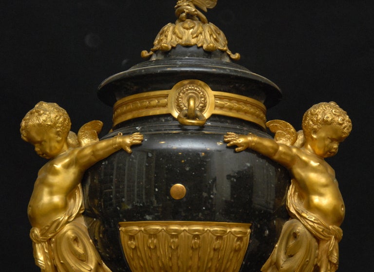 Important French 19th Century Gilt Bronze Mounted Marble Urns 2