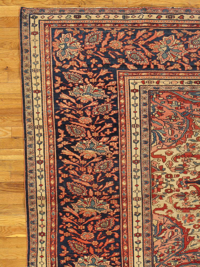 navy and pink oriental rug
