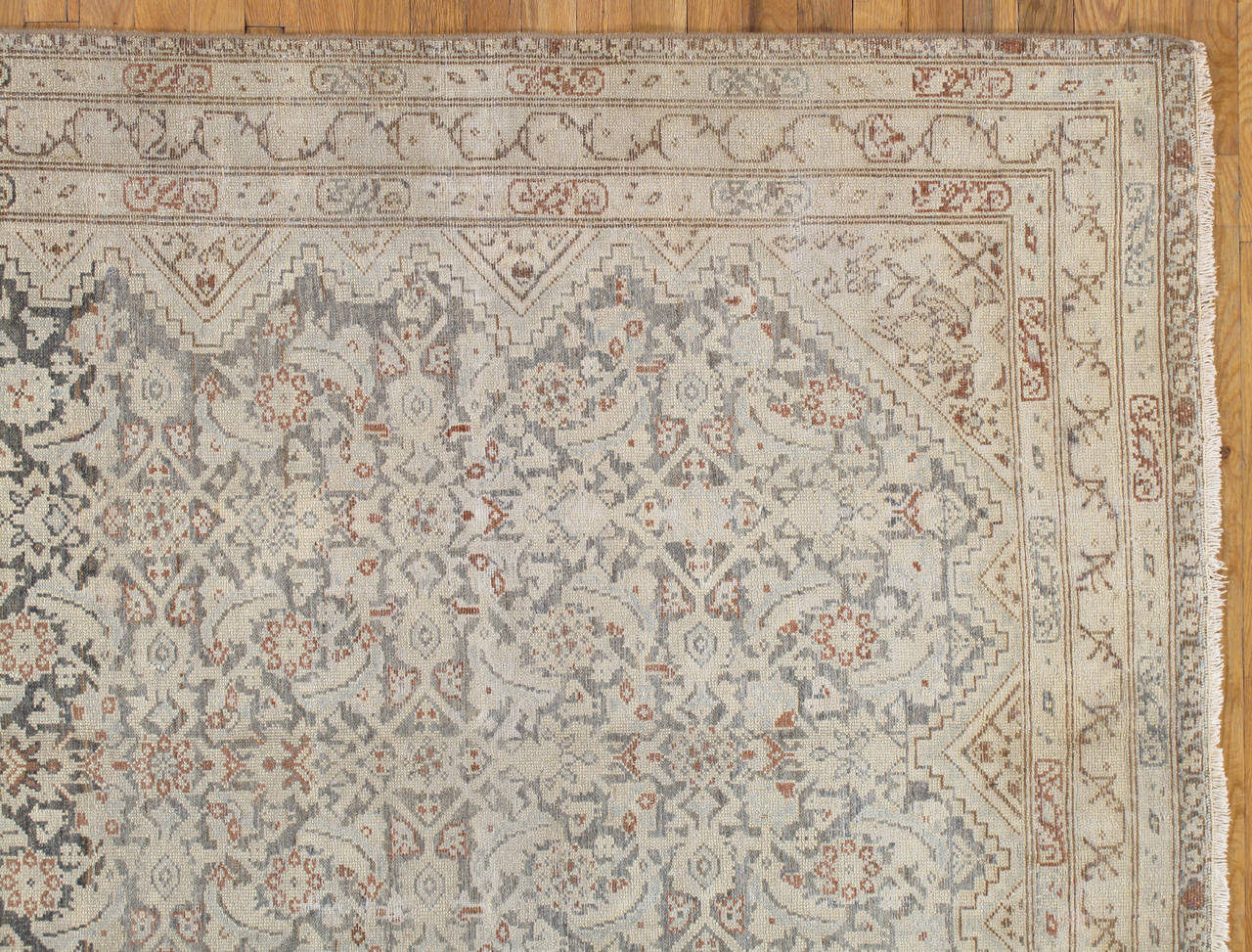 gray oriental rug