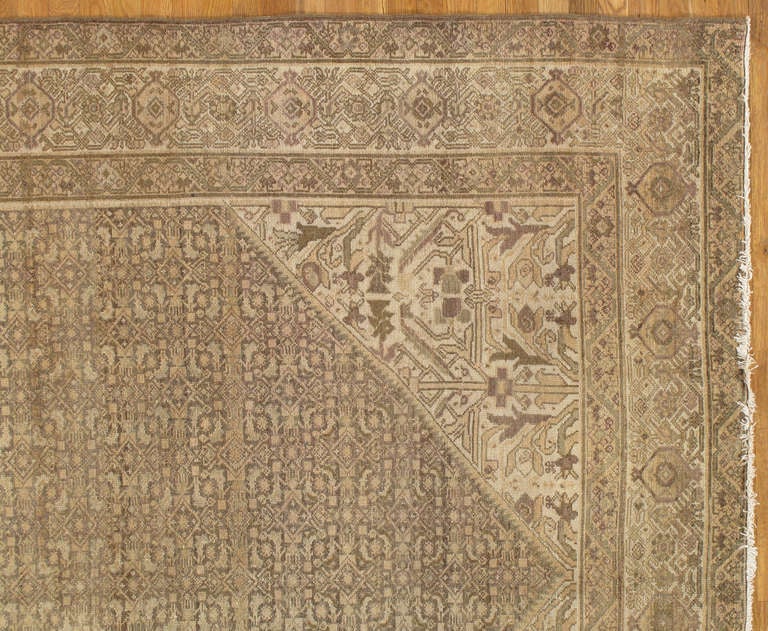 gray oriental rug