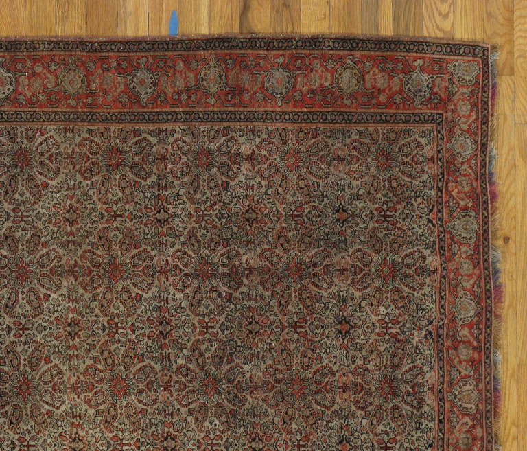 Malayer Antique Senneh Rug with Multicolored Silk Warp, Handmade, Fine Ivory, Red, Blue For Sale