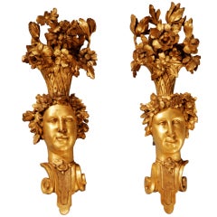 A pair of early 18th Century French Carved  gilt wall appliques.