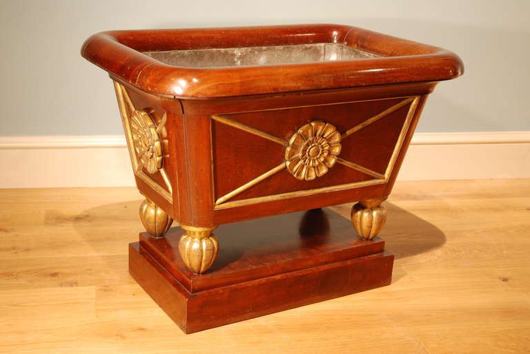 A lead lined mahogany sarcophagus shaped wine cooler standing on its own integral base with gilt enrichments, circa 1815.
