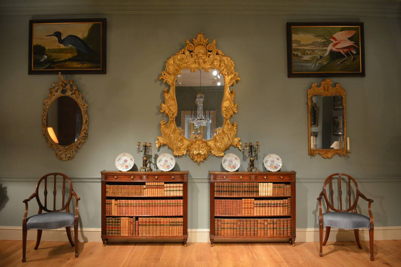 English Pair of Early 19th Century Low Bookcases