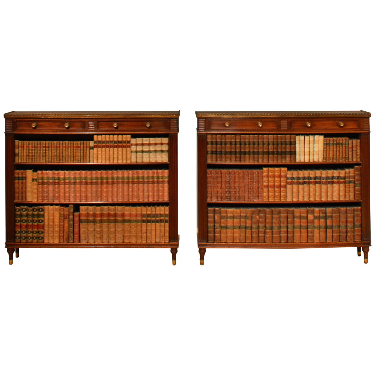 Pair of Early 19th Century Low Bookcases