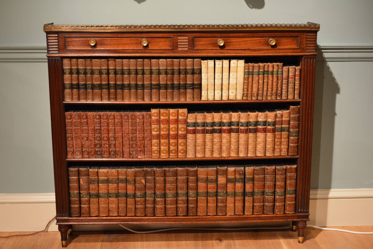 Pair of Early 19th Century Low Bookcases 2