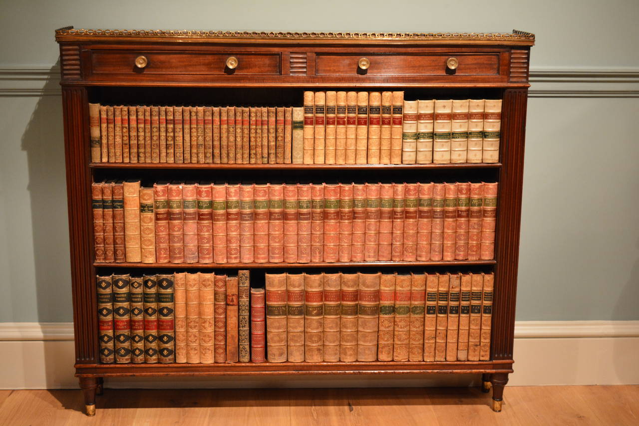 Pair of Early 19th Century Low Bookcases 3