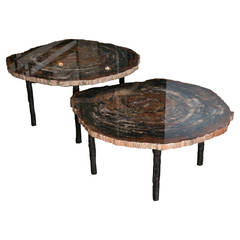 Pair of Petrified Wood Low Tables