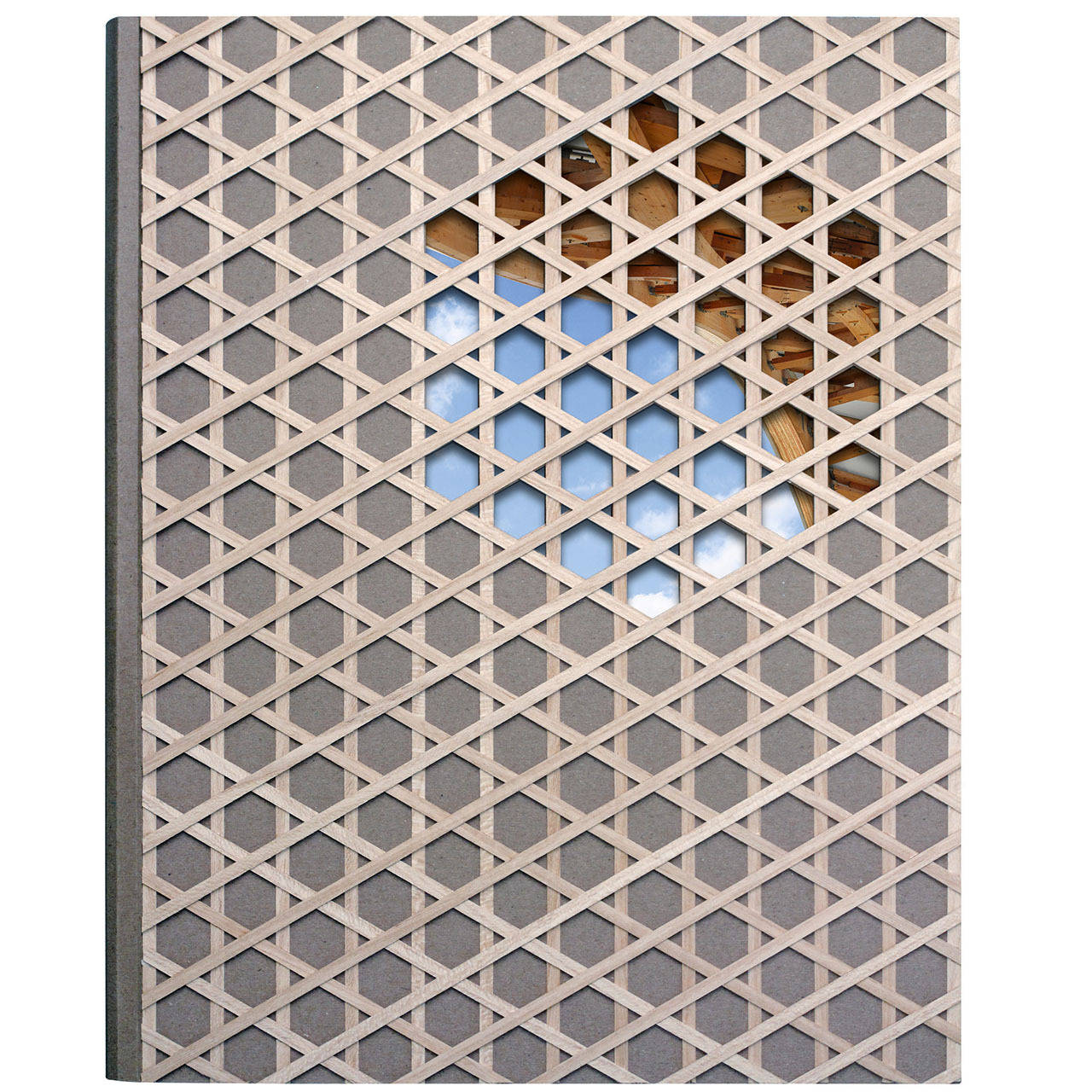 Shigeru Ban Book