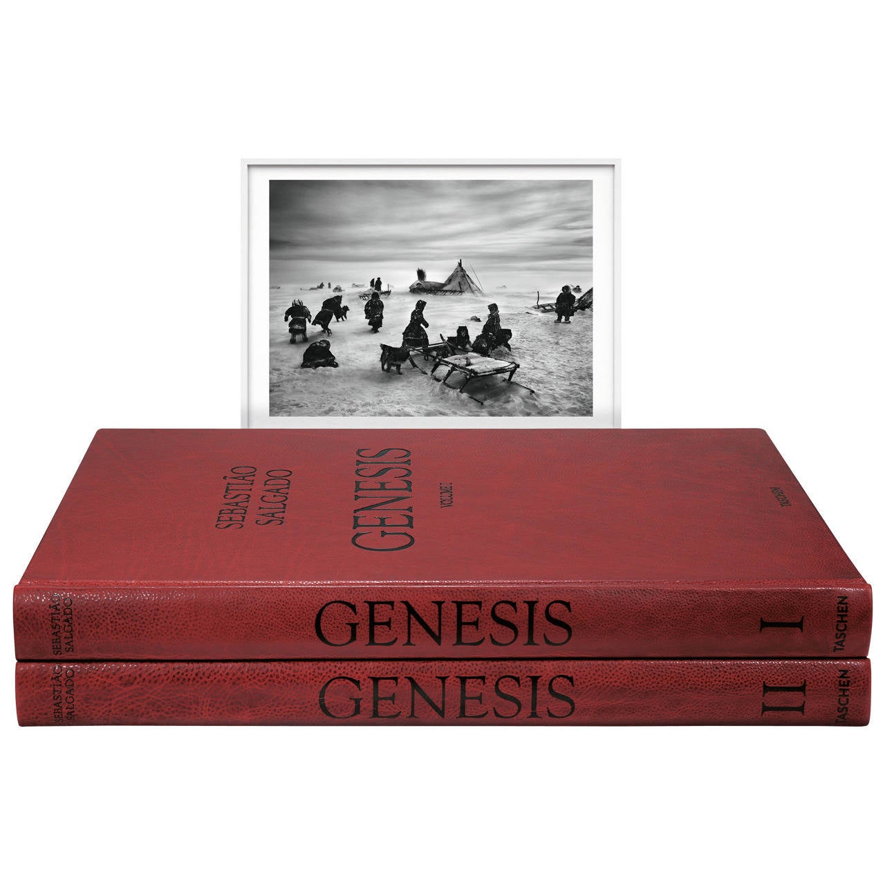 Sebastião Salgado "Genesis", Art Edition B