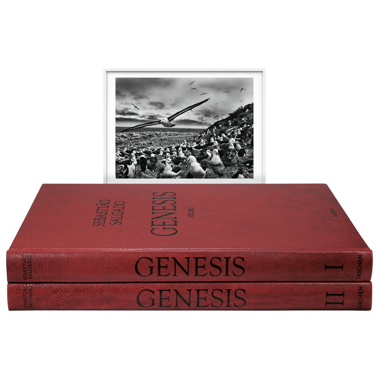 Sebastião Salgado: Genesis, Art Edition C