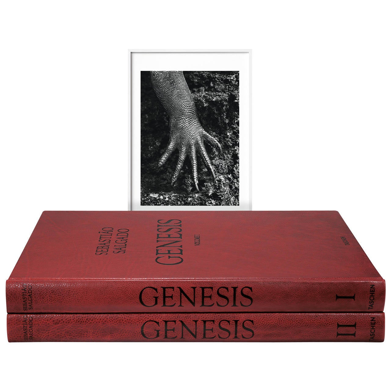 Sebastião Salgado, Genesis, Art Edition D For Sale