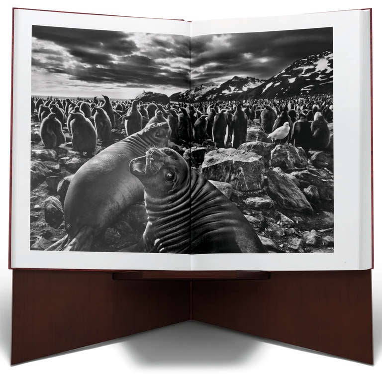 Sebastião Salgado: Genesis, Art Edition C For Sale 1