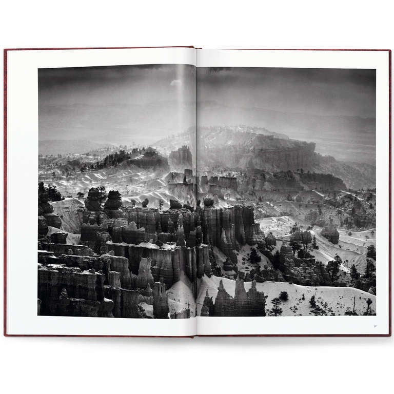 Sebastio Salgado « Genesis », Édition d'art B en vente 5