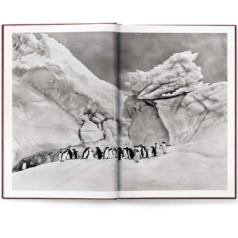 Bastio Salgado: Genesis, Kunstedition C im Angebot 4