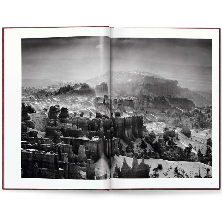 Sebastião Salgado: Génesis, Edición de Arte C en venta 5