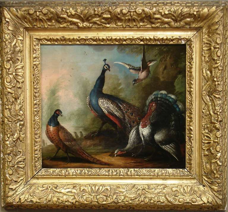 Marmaduke Cradock, "Still Life of Birds, " circa 1700