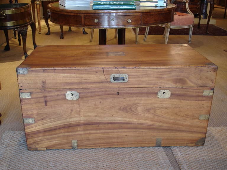 Export Camphor Brass-Mounted Chest of Large Size
