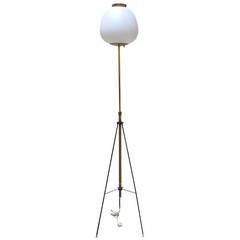 Floor Lamp Designed by Angelo Lelli