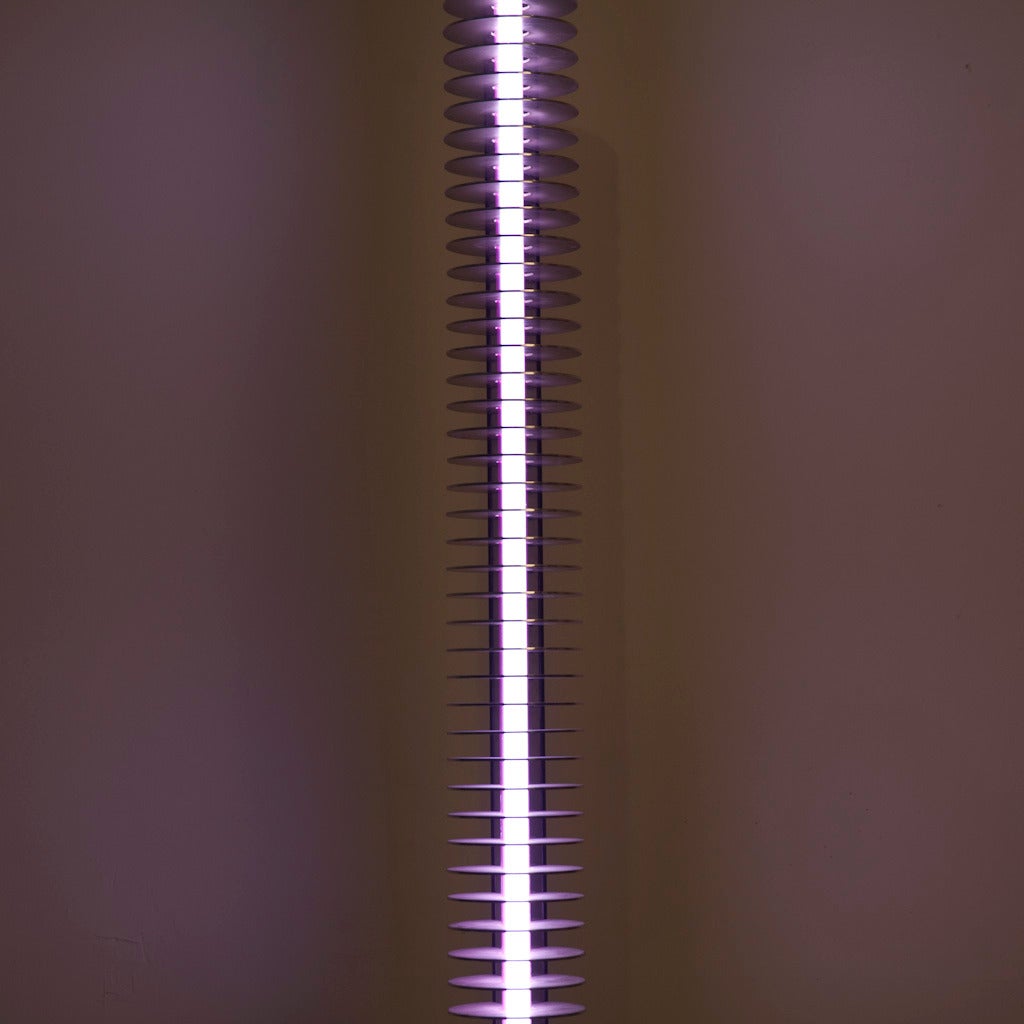 Enameled Iride Floor Lamp by Ico & Luisa Parisi For Sale