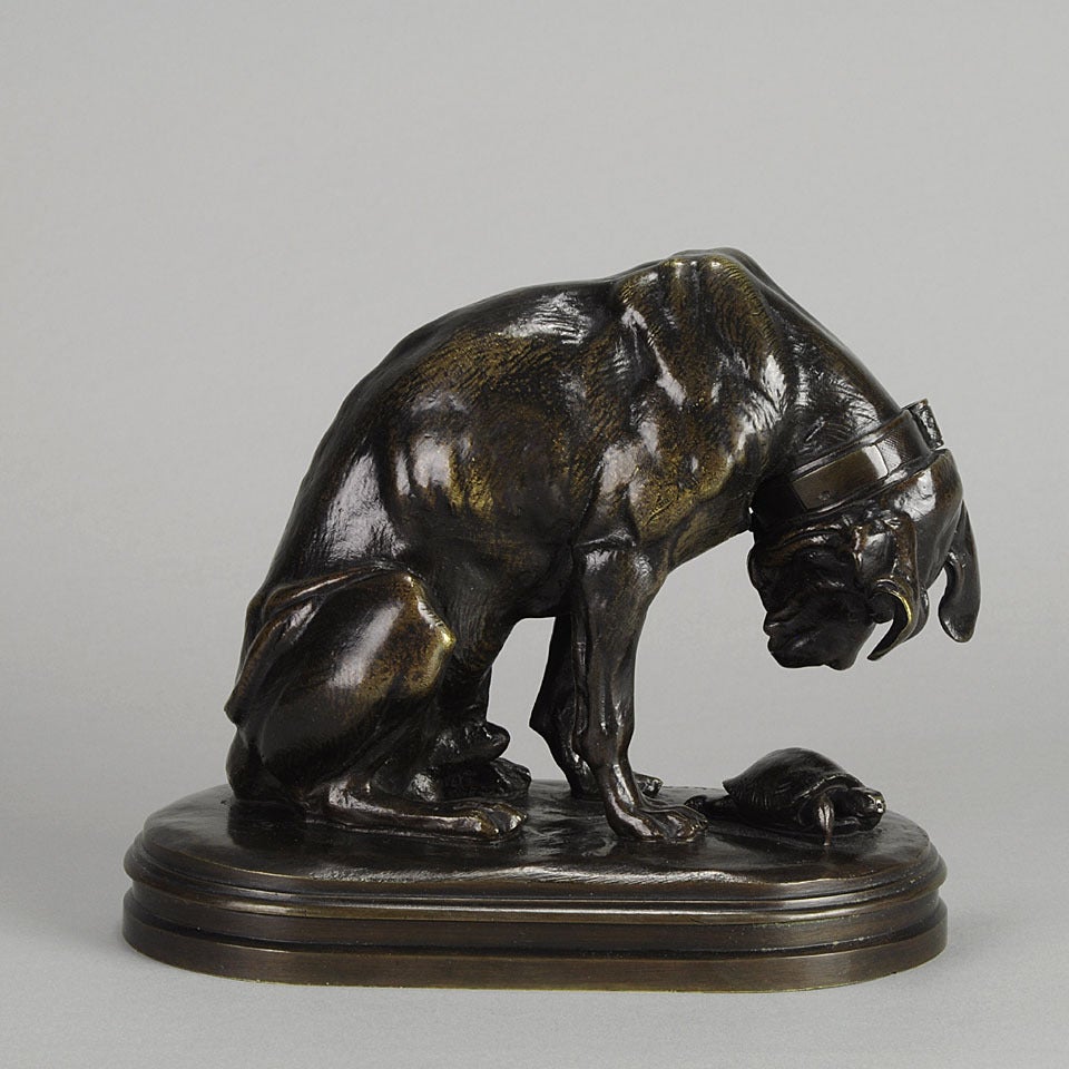 A charismatic mid 19th century French animalier bronze group representing an inquisitive hound peering intently at a tortoise on the ground, his long ears and jowls drooping above the tortoise's shell, the bronze with rich brown patination and