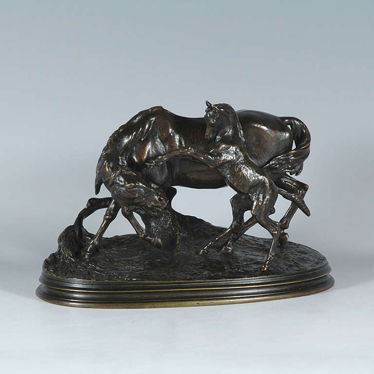 Jument Arabe et son Poulain