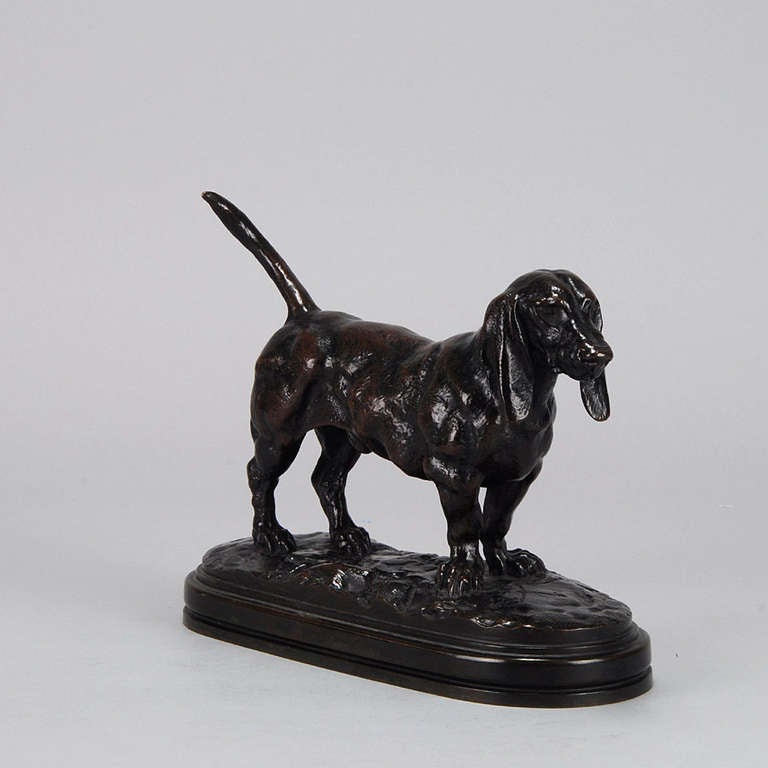 Basset Anglais