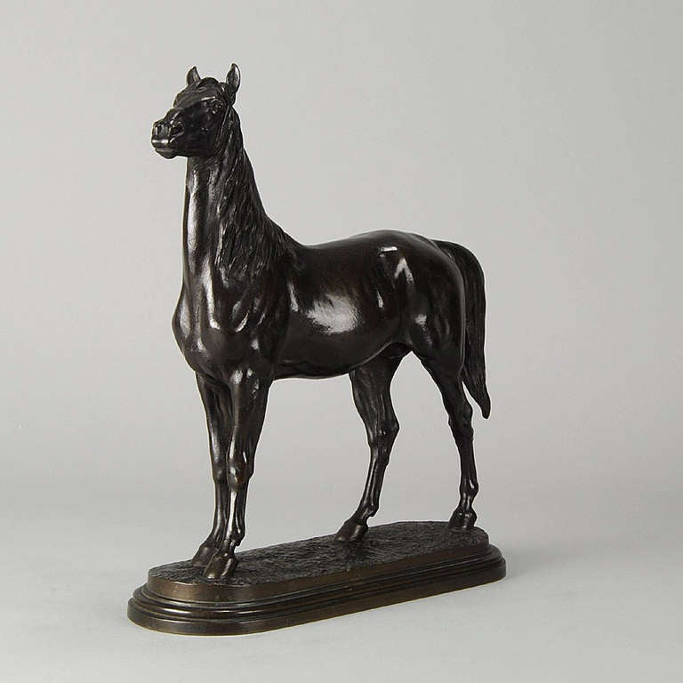 A wonderful mid 19th Century French bronze study of an powerful standing thoroughbred with excellent rich brown patina and very fine hand chased surface detail, raised on a stepped naturalistic base, signed I Bonheur, stamped with Peyrol foundry