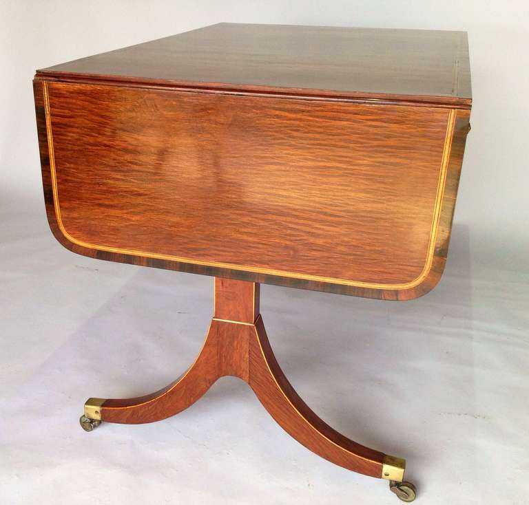 Rare George III 'Partridge Wood' Sofa Table 2