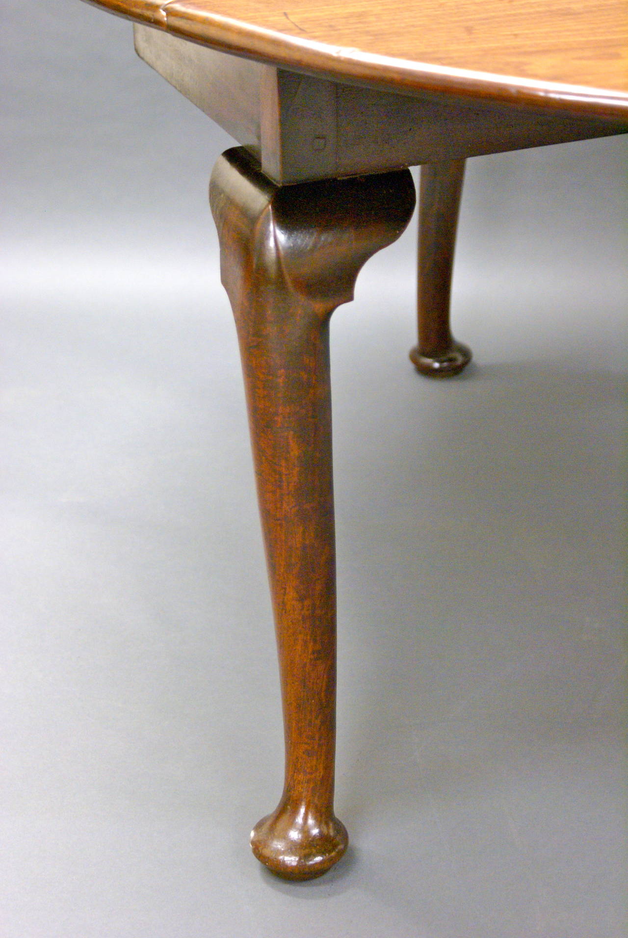 George II Gate-Leg Table of Exceptional Colour 2