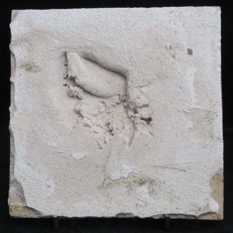 Martin Brothers Tile