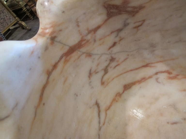 Massive Variegated Marble Grotto Basin in the Form of a Half-Shell 2