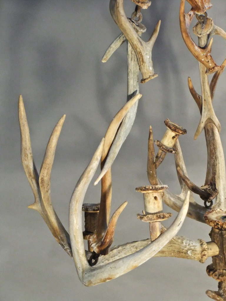 Antler Chandelier   In Excellent Condition For Sale In London, GB