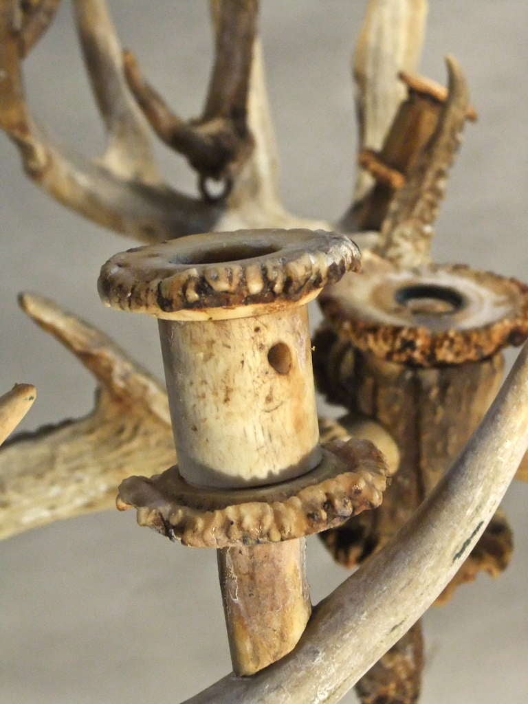 19th Century Antler Chandelier   For Sale