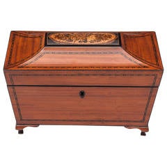 Satinwood Tea Caddy