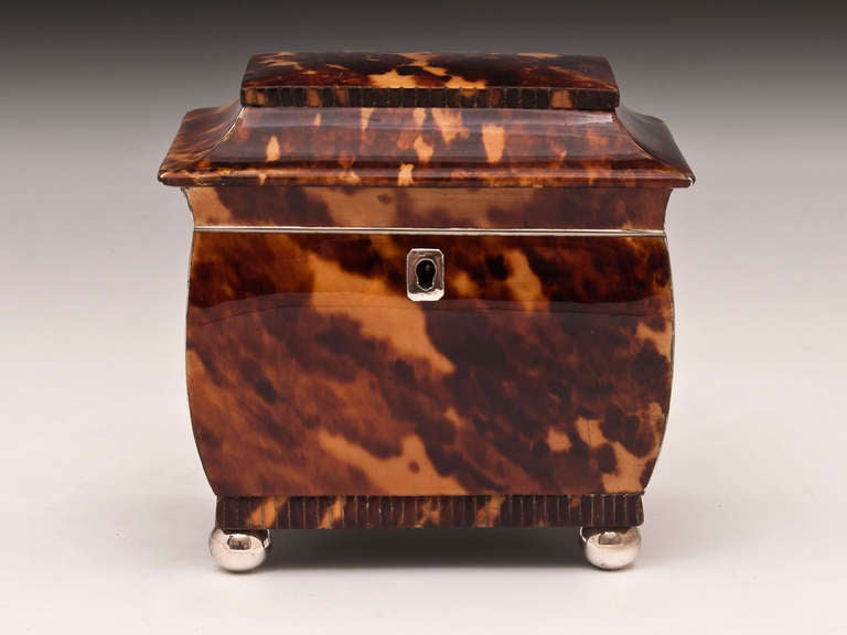 Tortoiseshell Tea Caddy